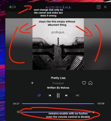 Miniplayer issue