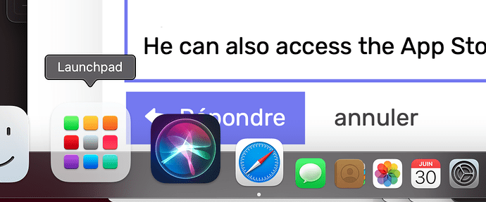 Capture d’écran 2021-06-30 à 23.25.43