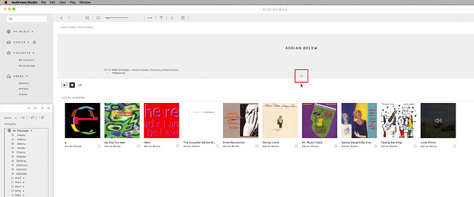 Screen Shot 2021-05-21 at 4.25.17 PM