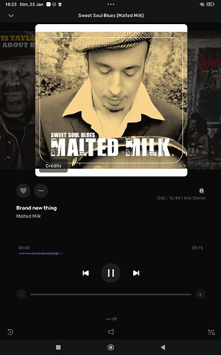 Screenshot_2026-01-25-18-23-31-072_com.audirvana.aremote