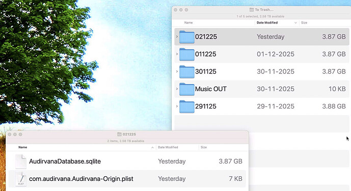 backups