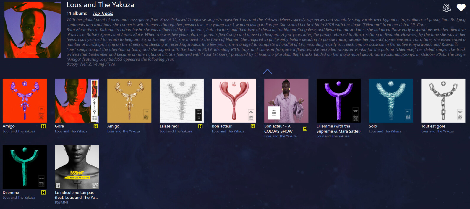 Differentiate between Albums and Singles in Qobuz - Old User